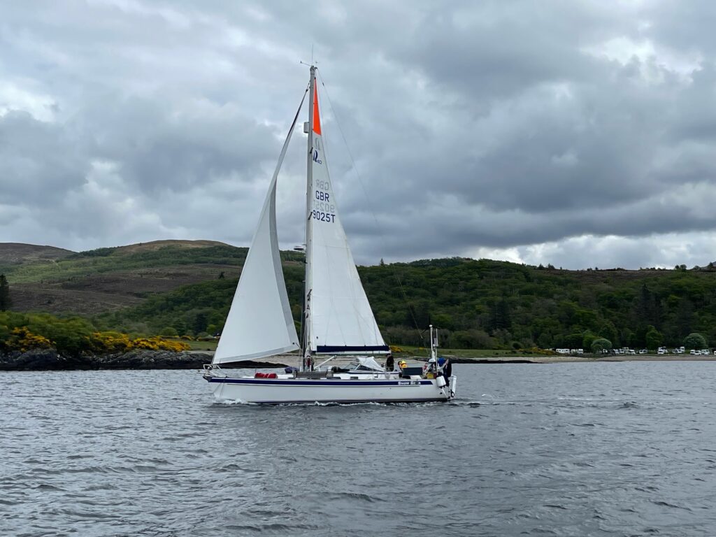 Picture of Snow bear sailing