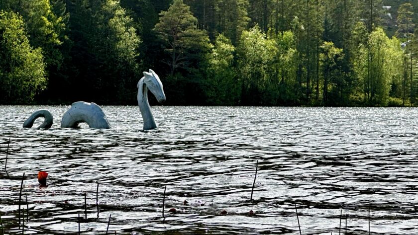 Picture of Nessie in a lake