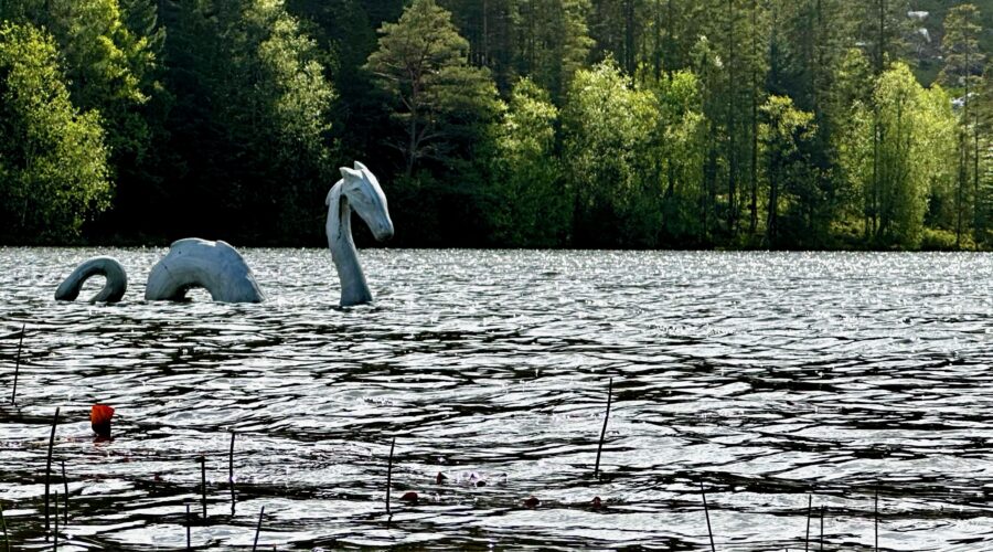 Picture of Nessie in a lake