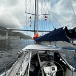 Picture of snow bear sailing