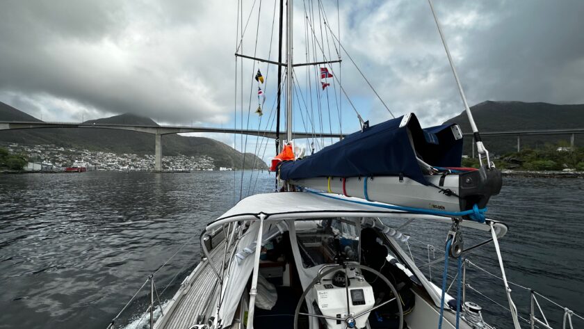 Picture of snow bear sailing