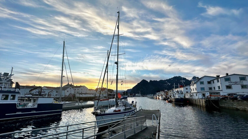 snowbear at the dock