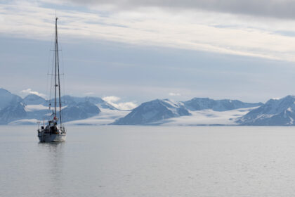 Snow bear anchored with mountains in the background