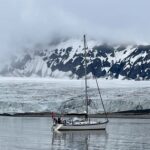 Snow bear at the glacier