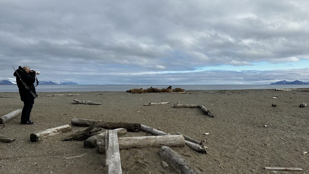 Steve photographing on the beach
