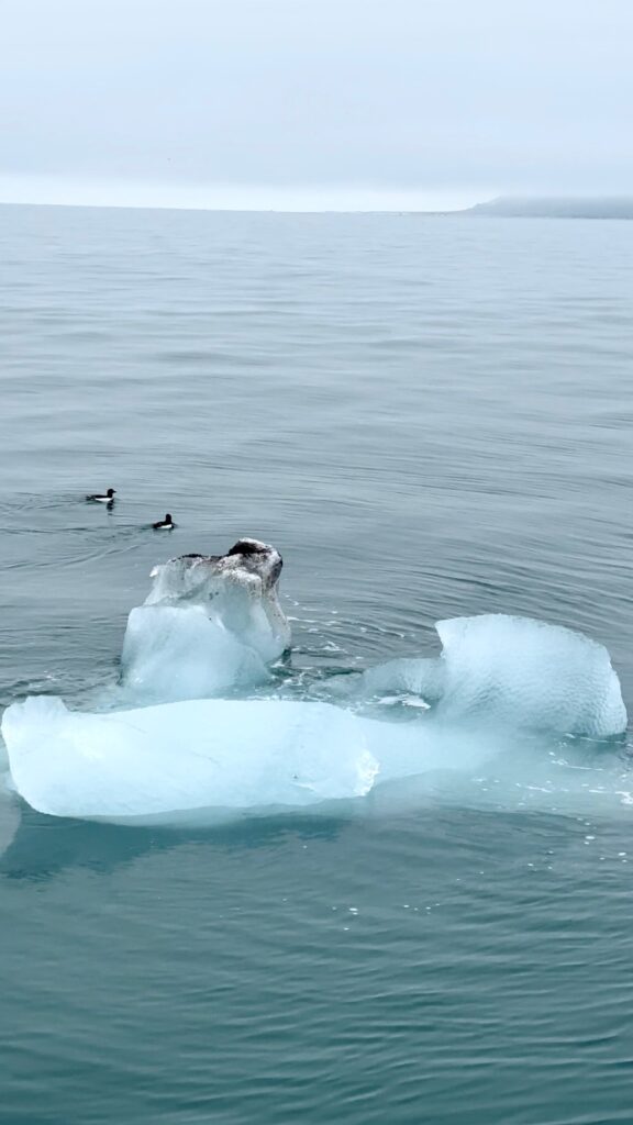 The first ice we see in the water
