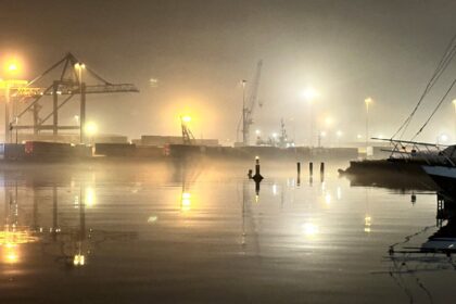 Belfast marina at night