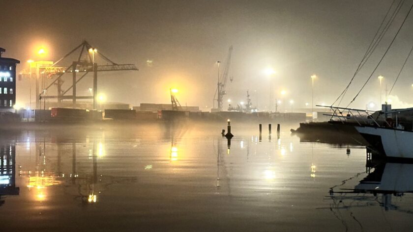 Belfast marina at night