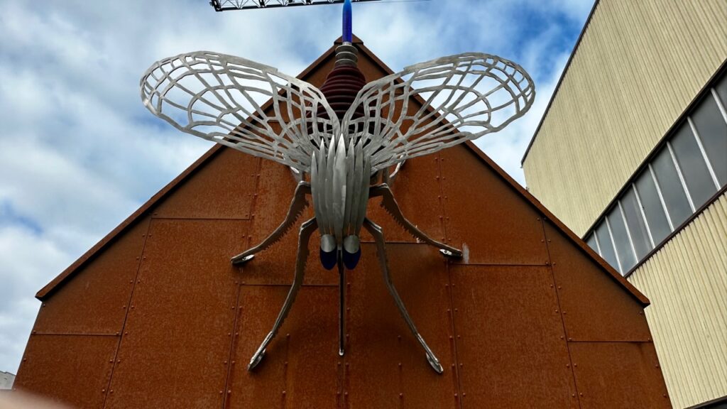 Picture of fly sculpture on the wall
