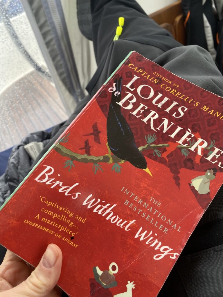 Picture of the book birds without wings