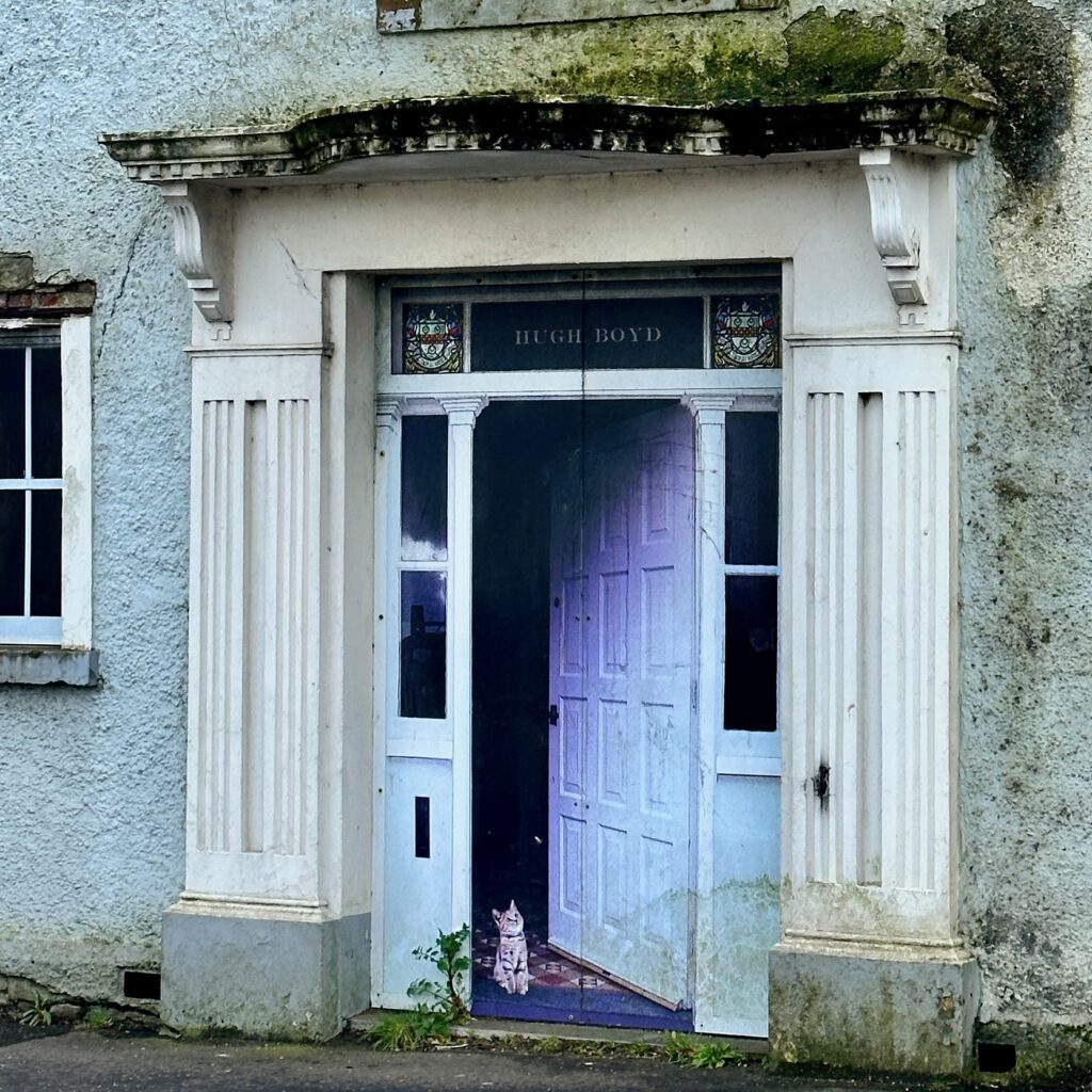 Frames in windows of abandoned houses makes them look occupied