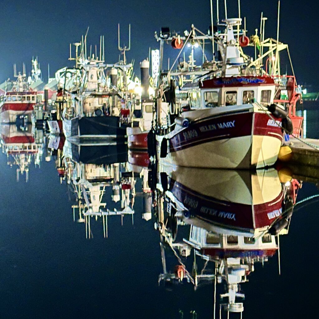 Boats in the marina at night