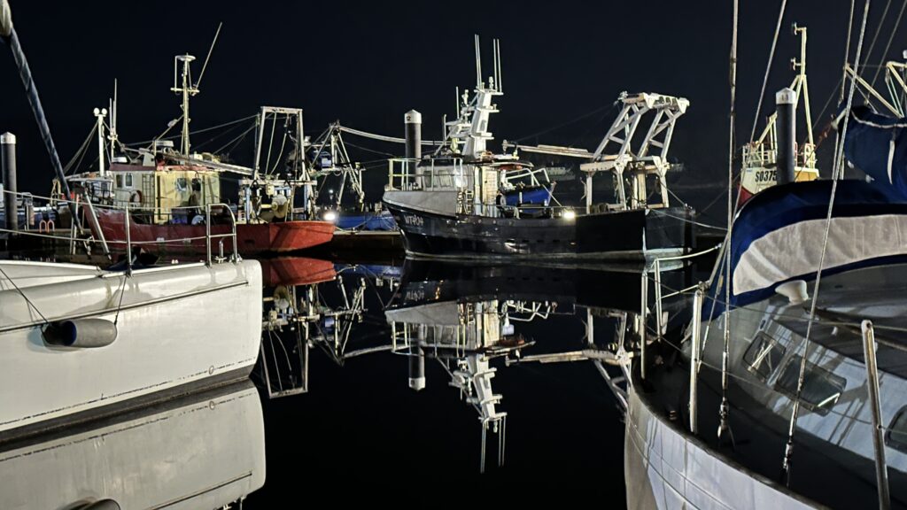 Boats in the marina at night