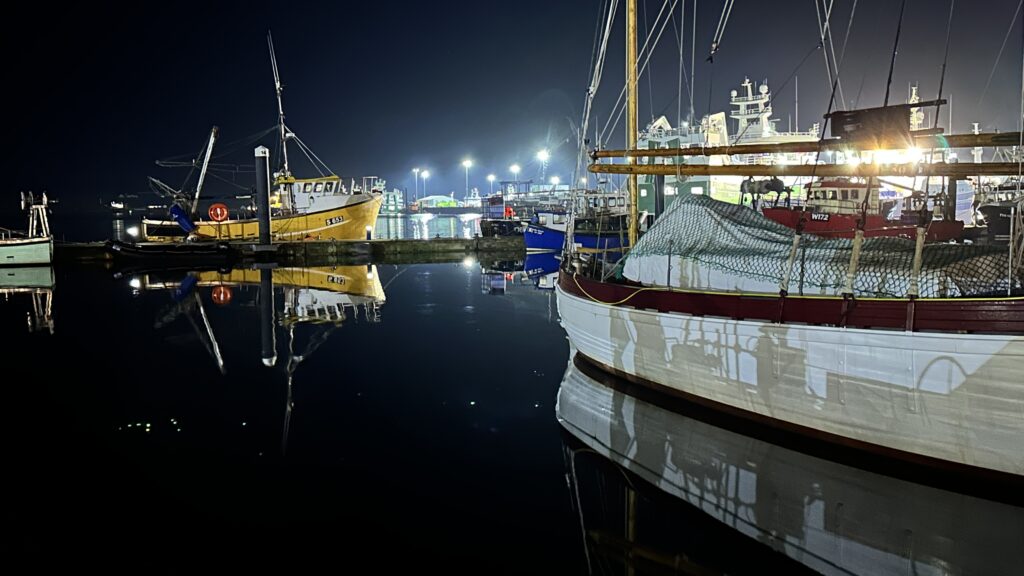 Boats in the marina at night