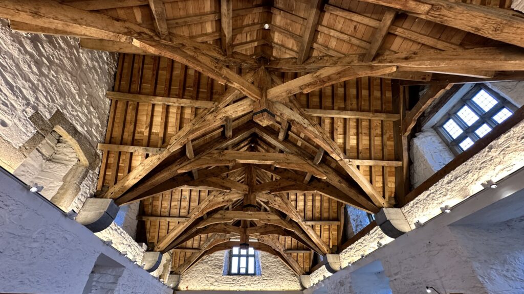 Donegal castle roof