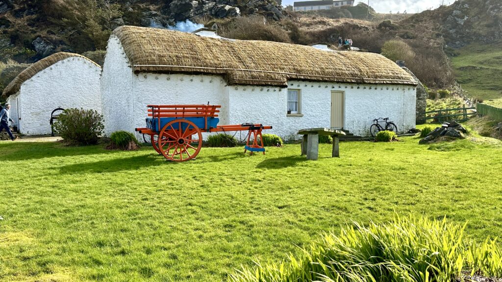 The historic Irish houses