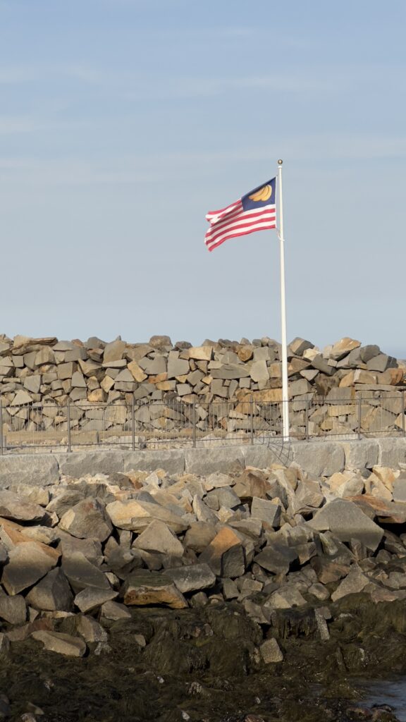 The banana republic flag