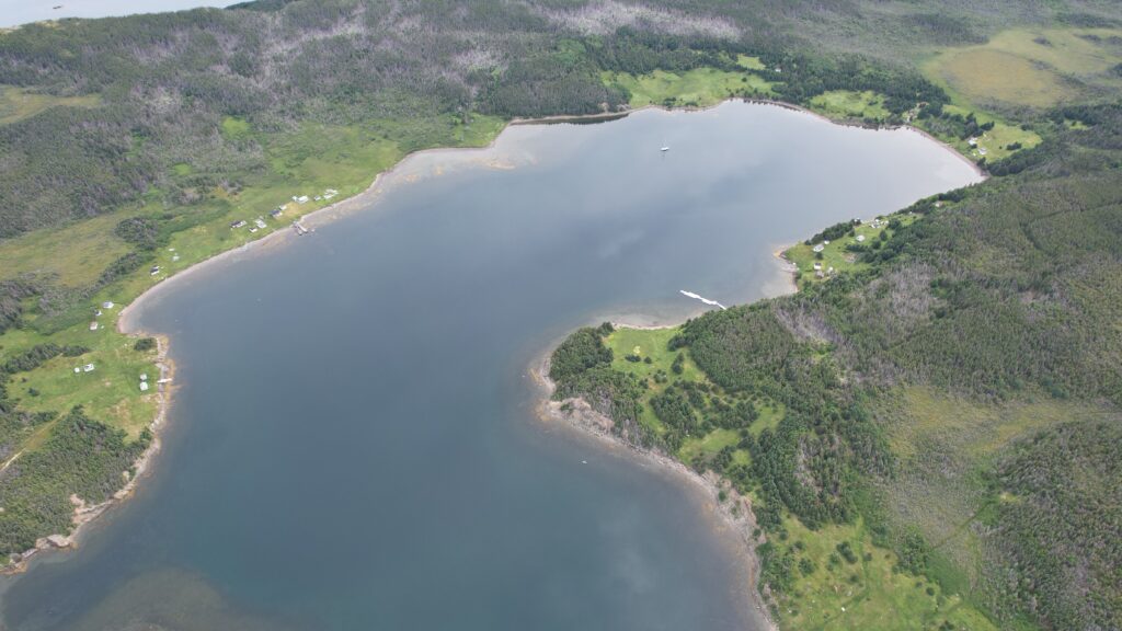 Drone shot of the bay