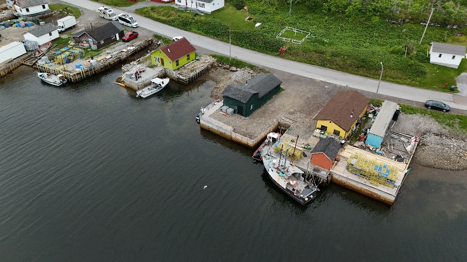 Drone shot of the harbour