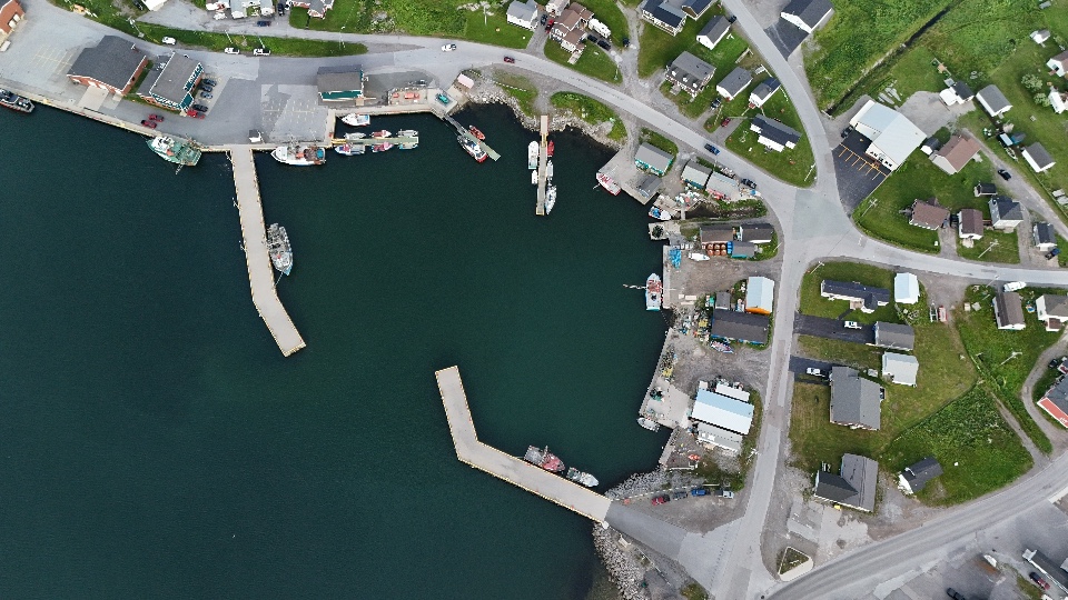 Drone shot of the harbour